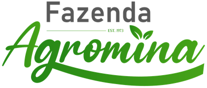 Fazenda Agromina — cliente Infoservice em Balsas-MA